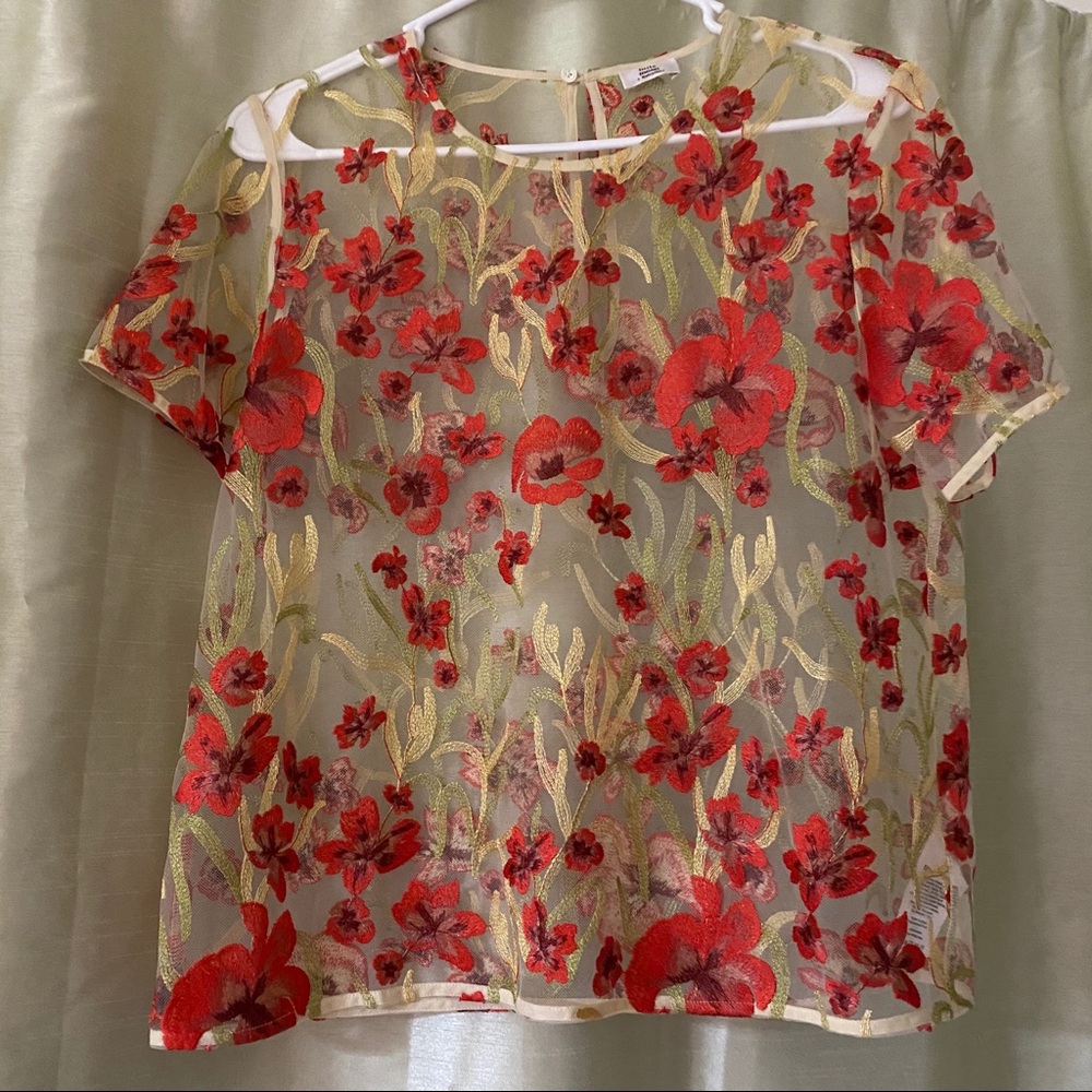 ARITZIA LITTLE MOON SHEER TOP!